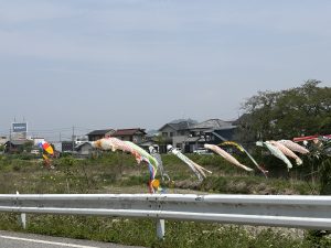 IMG_0086