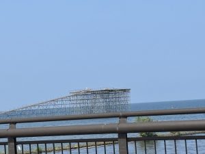 IMG_2234