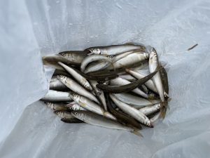IMG_4003