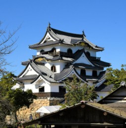 城