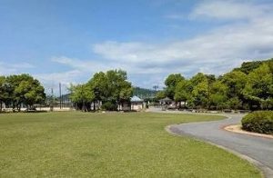 公園